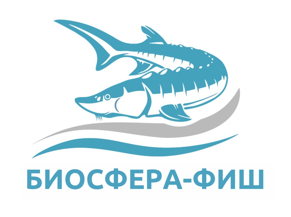 Фиш Хаус Рыболовный Магазин
