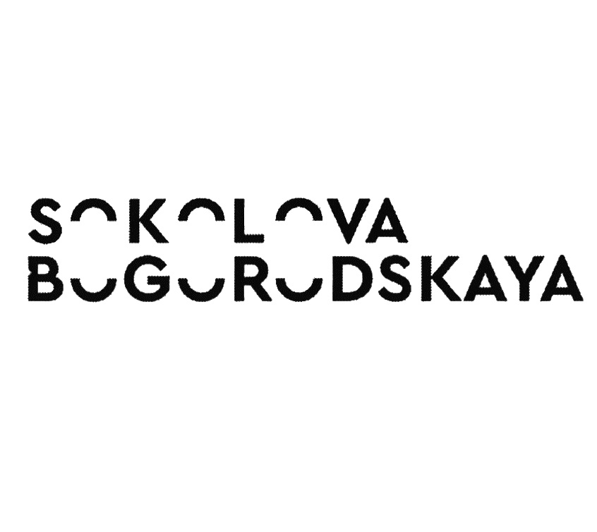 Дизайн студия соколова богородская - 87 фото