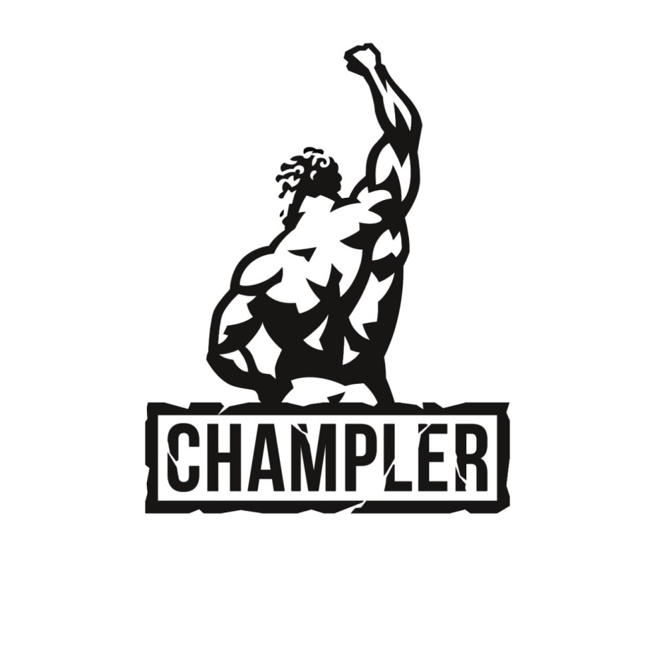 Торговая марка №849399 – CHAMPLER: владелец торгового знака и другие данные  | РБК Компании