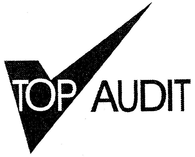 Top logo. Топ логотипов. Логотип Top. Логотипы топ компаний. Аудит логотип.