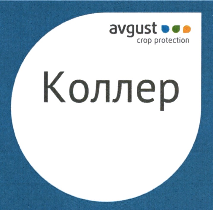 КОЛЛЕР AVGUST