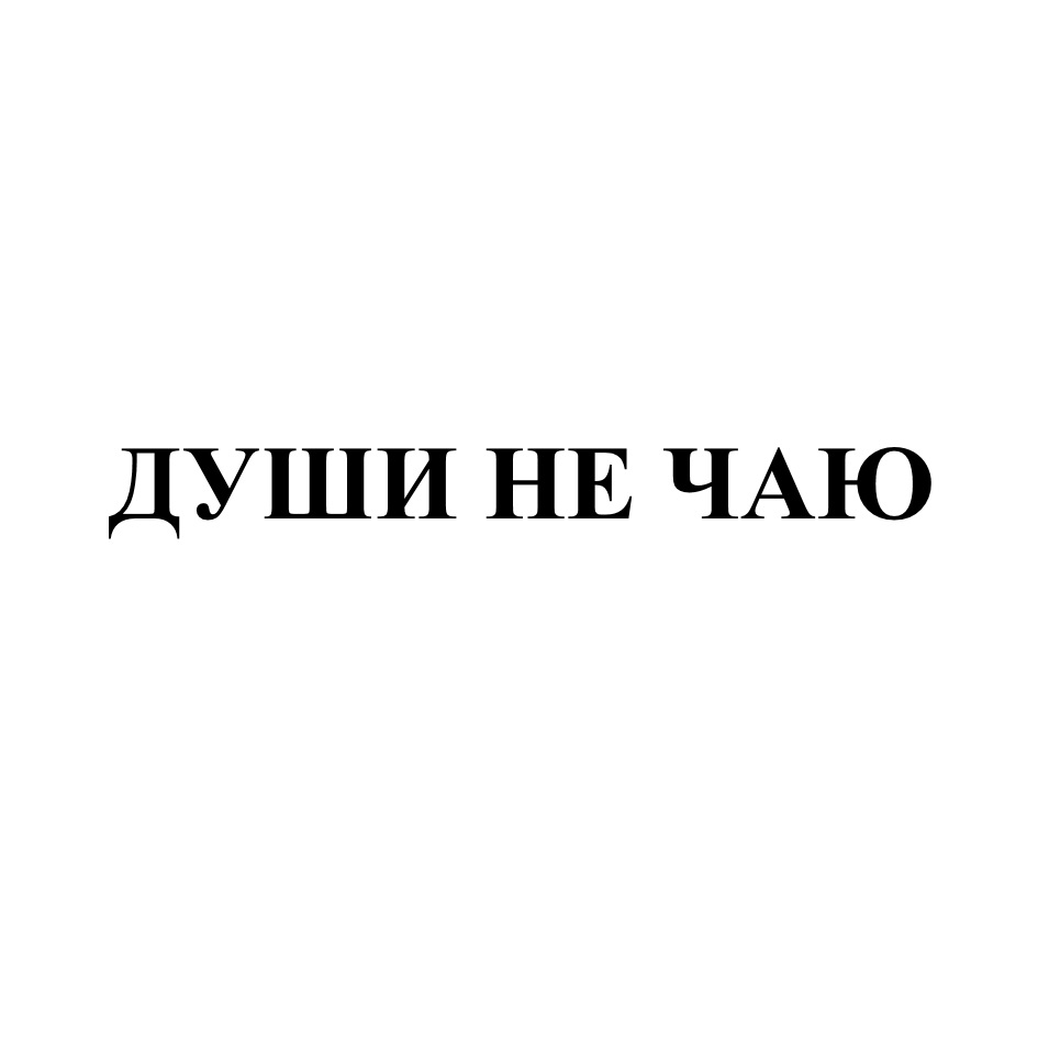 ДУШИ НЕ ЧАЮ
