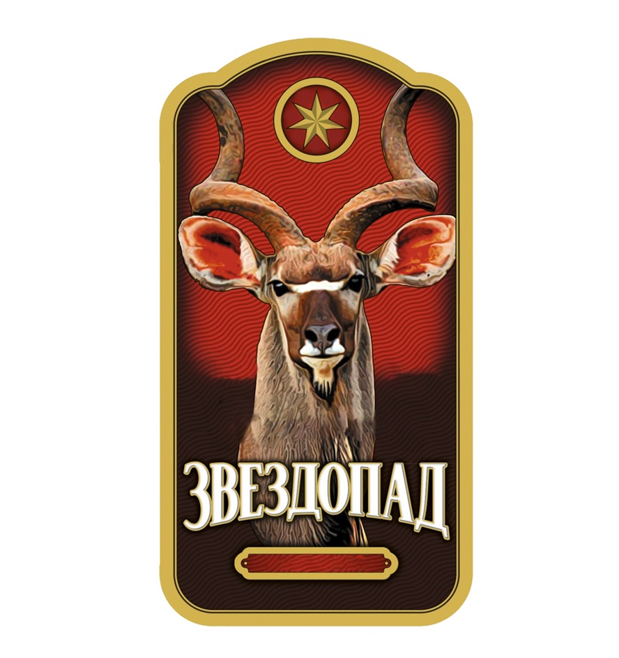 ЗВЕЗДОПАД