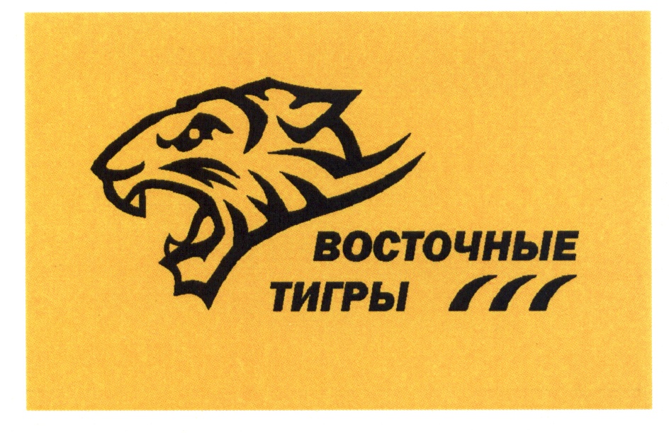 перчатки восточные тигры g130 (зимние). перчатки восточные тигры g161. перчатки восточные тигры g158. перчатки восточные тигры g156. перчатки спилковые восточные тигры g135.