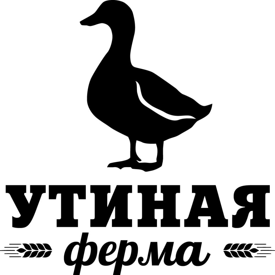 Утиная ферма. Утиная ферма Владимирская область. ТМ Утиная ферма. Утиная ферма логотип. Утка Утиная ферма.