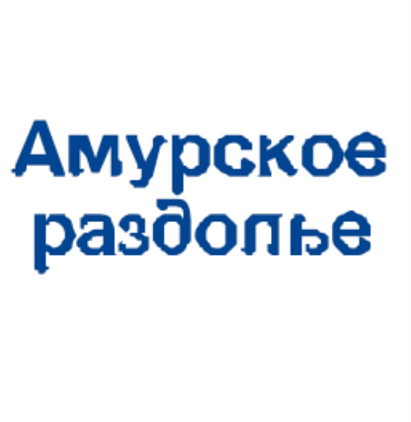 АМУРСКОЕ РАЗДОЛЬЕ