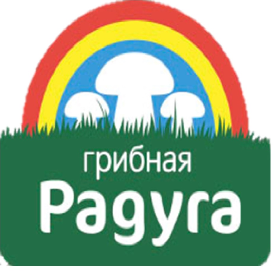 ООО «ГРИБНАЯ РАДУГА» — Курская область — ОГРН 1154611000114, ИНН 4611013515  — адрес, контакты, гендиректор | РБК Компании