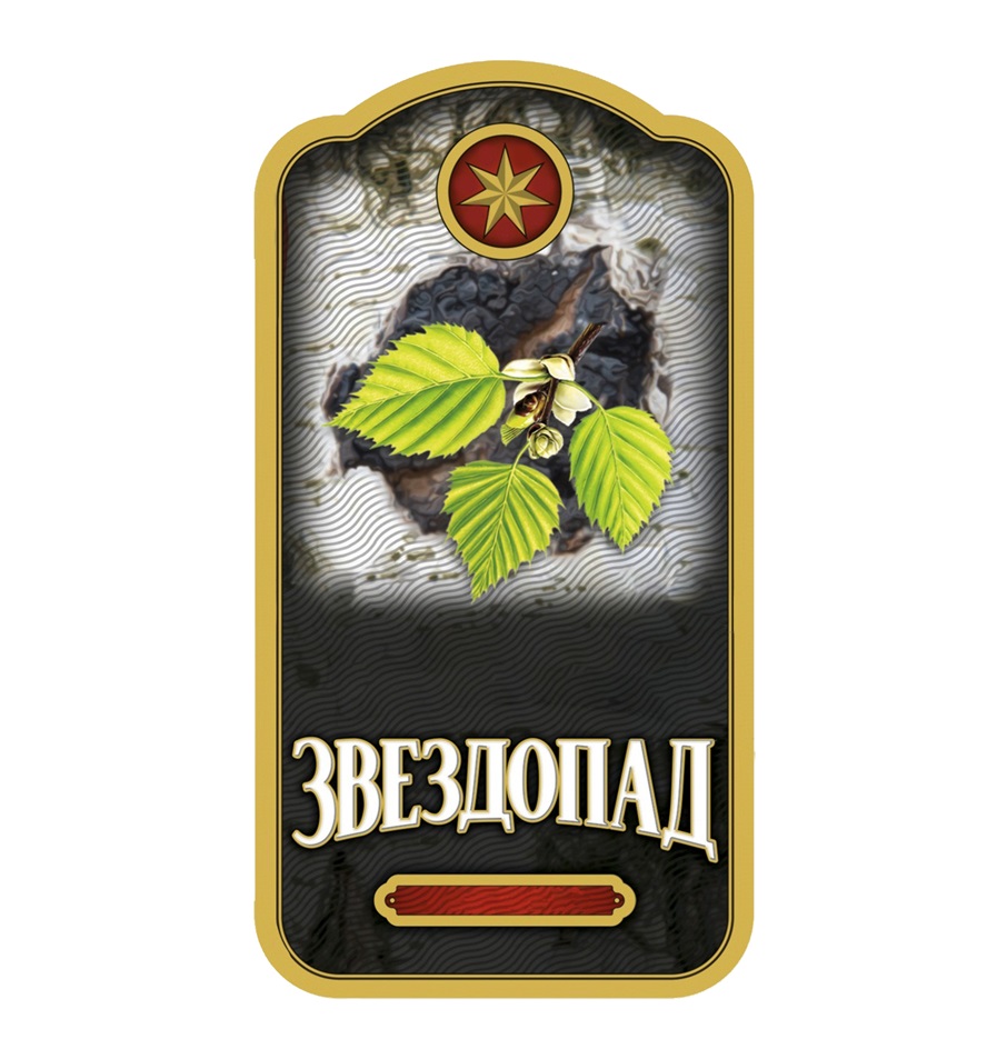ЗВЕЗДОПАД