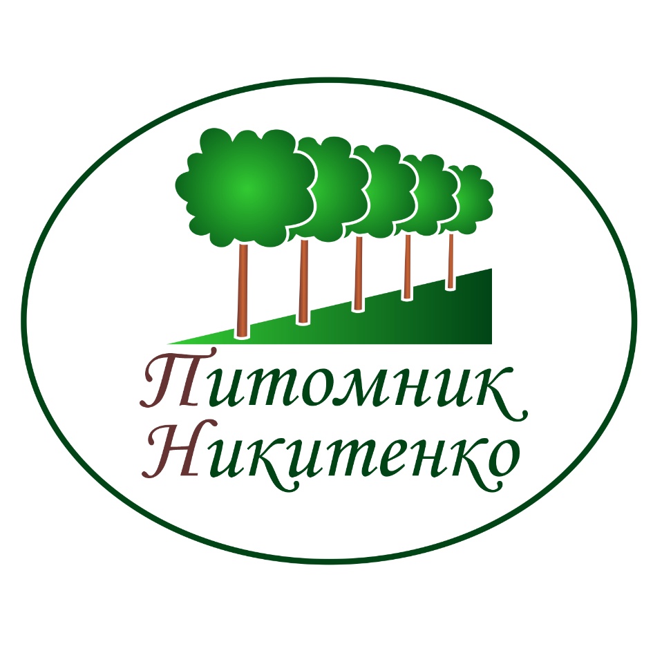 ООО «ПИТОМНИК НИКИТЕНКО» — Московская область — ОГРН 1195022001767, ИНН  5011038118 — адрес, контакты, гендиректор | РБК Компании