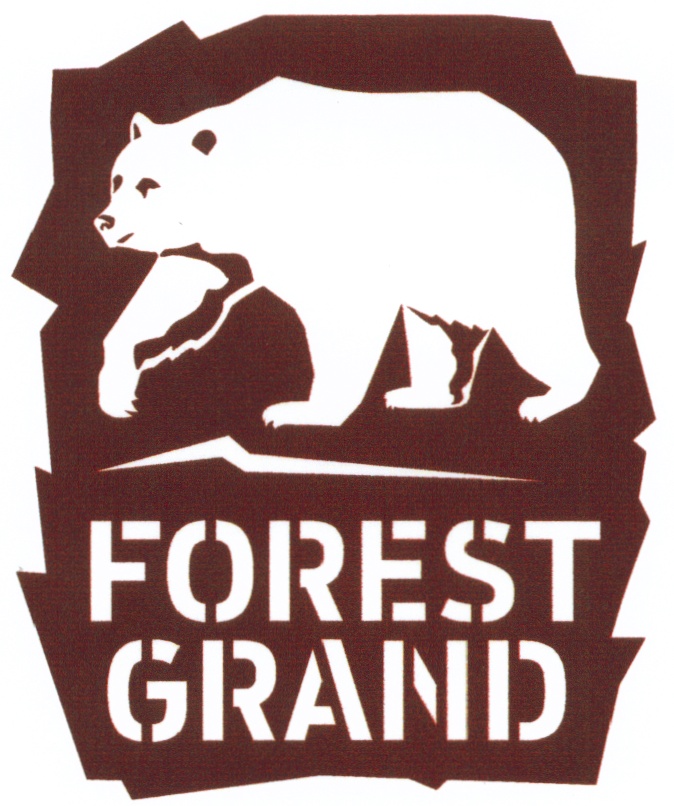 Forest grand. Форест Гранд. Форест Гранд лого. ООО Форест Гранд Спасск Дальний. Форест Гранд армянин.