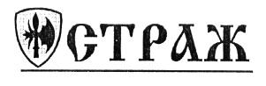 Слово страж. Страж надпись. Надпись Страж красиво. Надпись Страж охрана. Надпись Страж богатства.