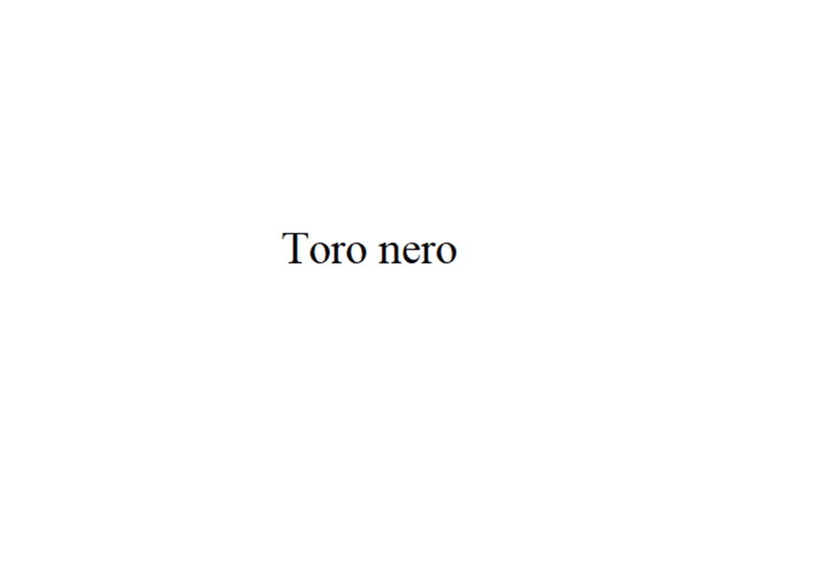 TORO NERO