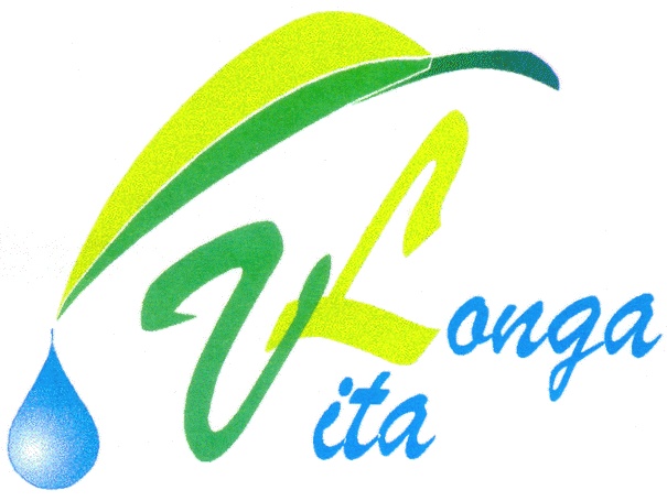 Овита. Longa Vita logo. Лонга Вита Томск. Вита спорт логотип. Значок вит.