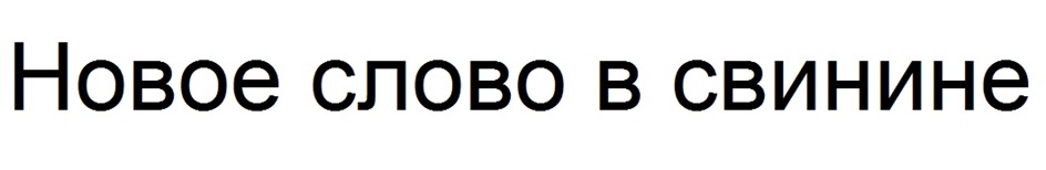 НОВОЕ СЛОВО