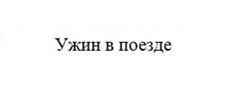 УЖИН В ПОЕЗДЕ