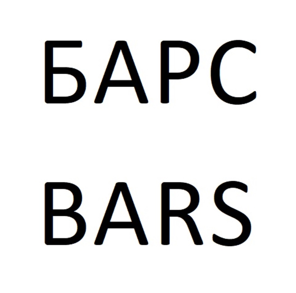 БАРС BARS