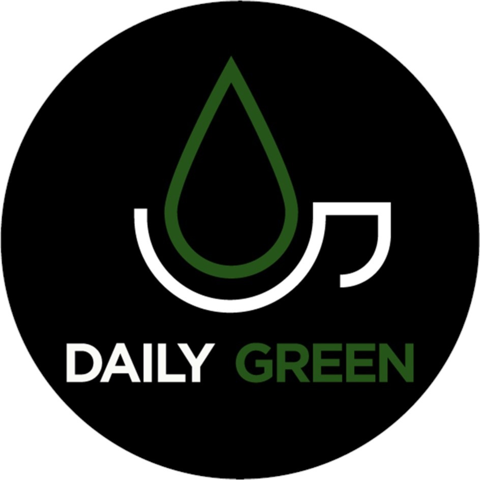 Кофейня Дейли Грин Москва. Кофейня Daily Green (ИП казачёк Михаил Дмитриевич). Daily Green кофейня Новокузнецкая. Daily Green кафе Москва.